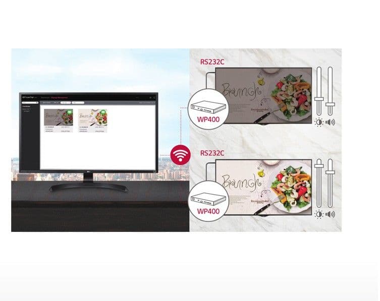 Display Control Capability