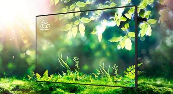 Sustainability