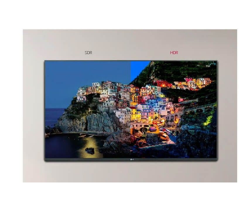 Vivid Color Expression Powered by HDR