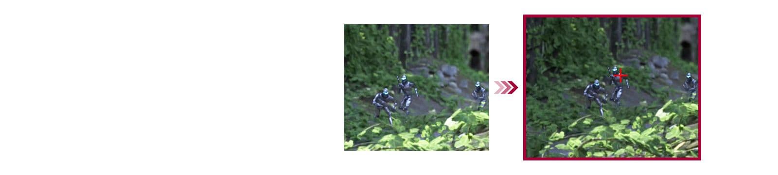Crosshair® Feature Brings an Accuracy Advantage